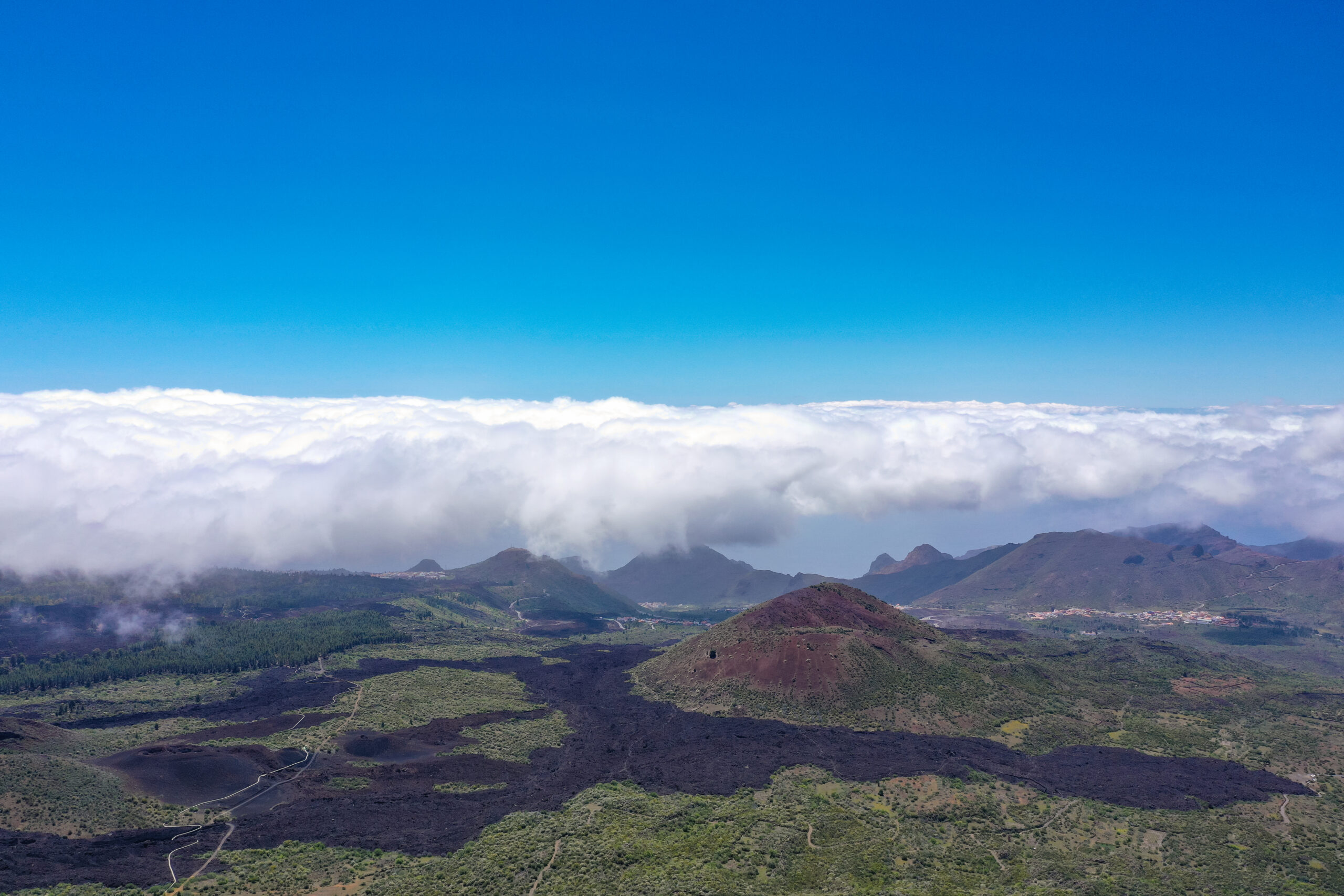 El Tanque Tenerife, colada de lava del volcán Chinyero entre pinos canarios