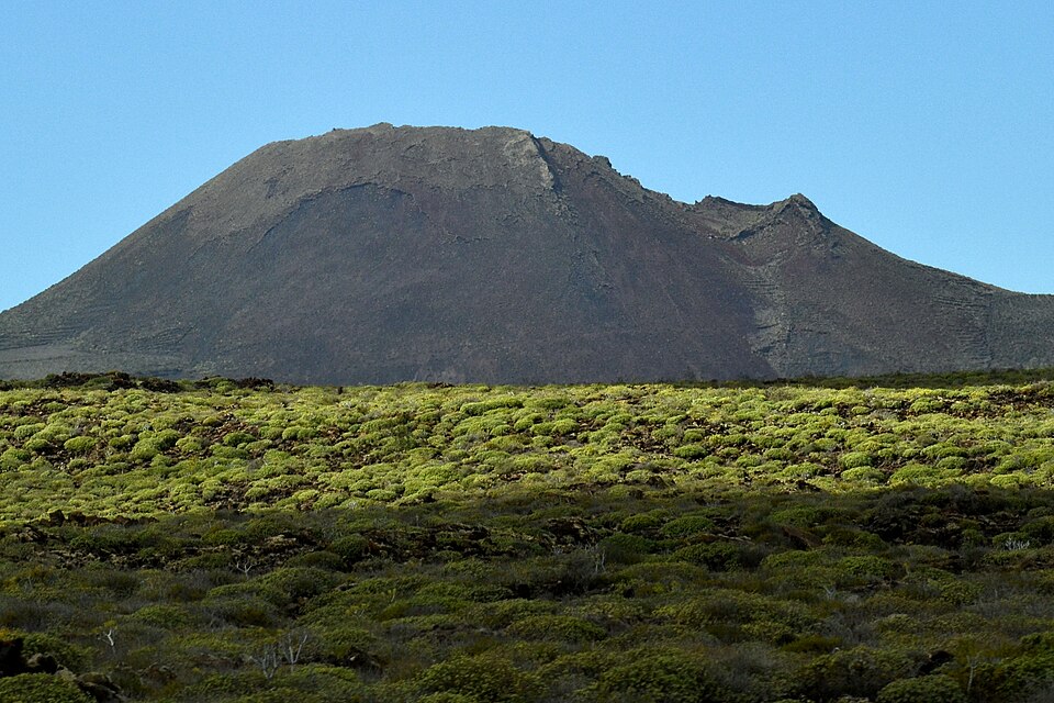 Haría Lanzarote, vista del Valle de las Mil Palmas con palmeras canarias