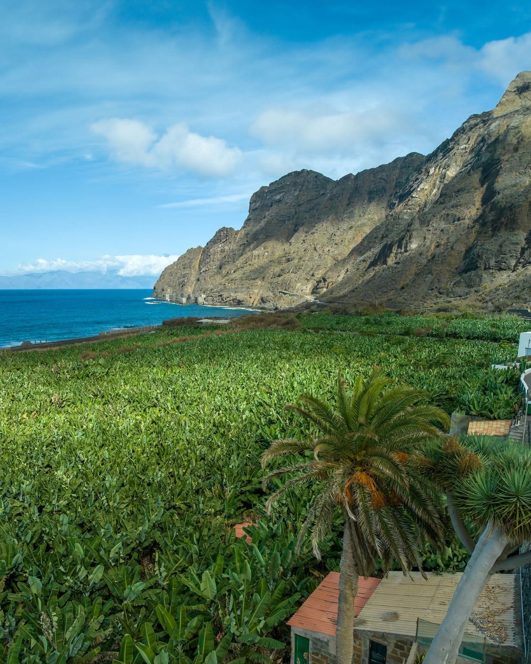 hermigua-la-gomera-valle-plataneras-panoramica Hermigua La Gomera, vista panorámica del valle con plataneras y la costa al fondo