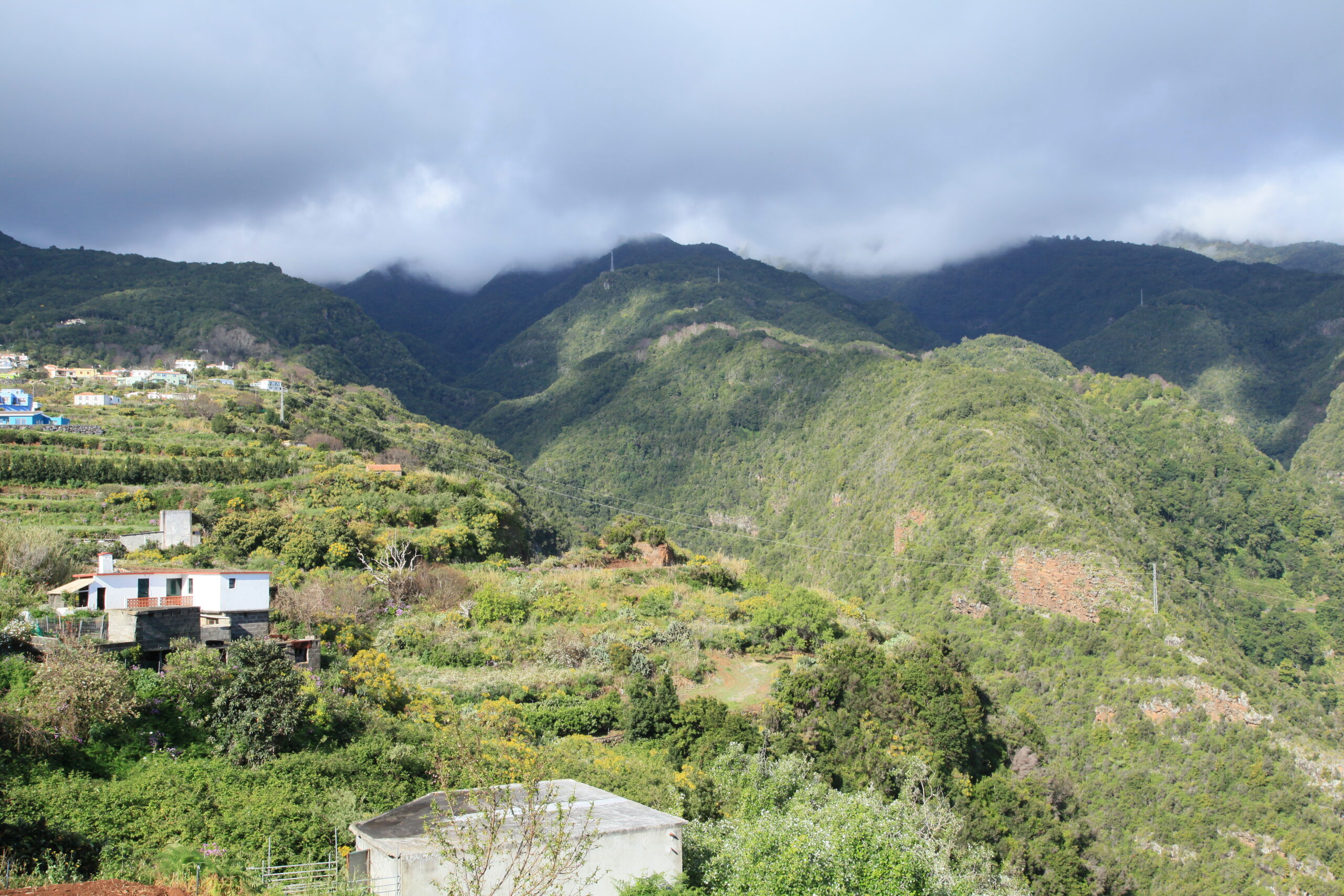 Puntallana La Palma, vista del Barranco de La Galga con laurisilva y la costa noreste