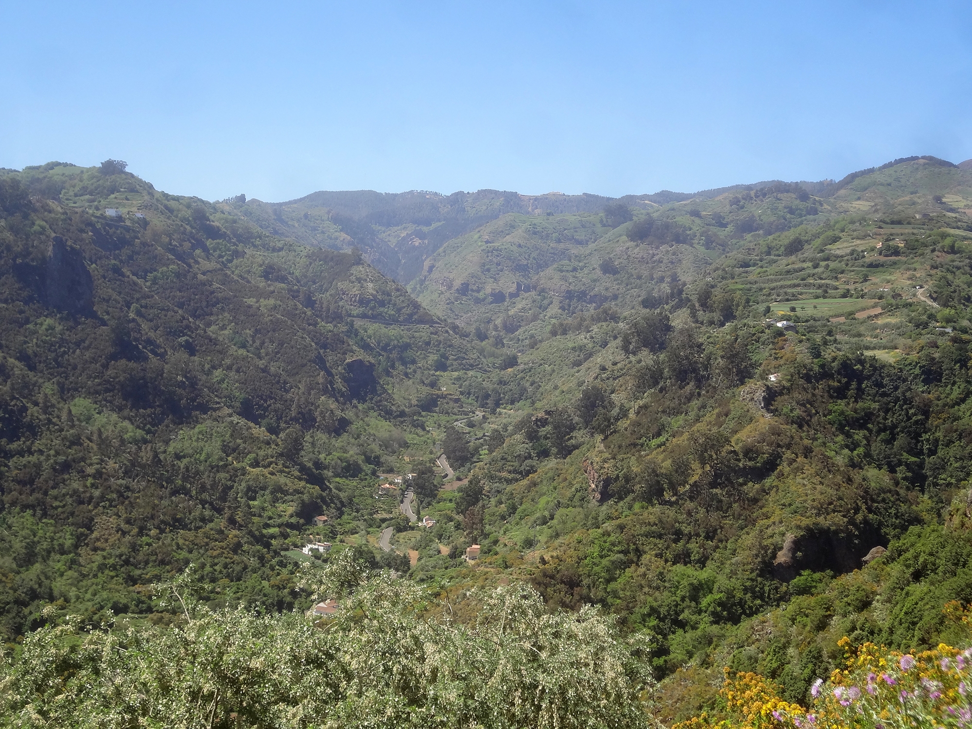 Valleseco Gran Canaria, bosque de laurisilva del Parque Rural de Doramas en el norte de la isla